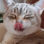 CIMG0096