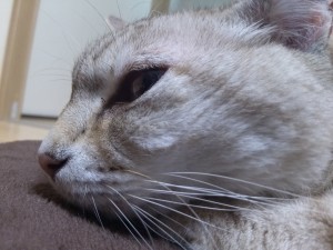 20140521_212959_Android
