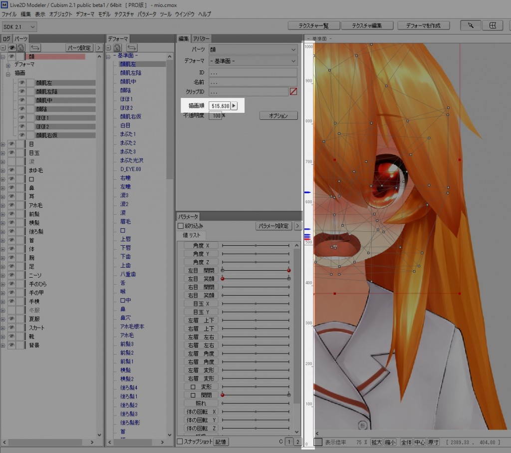 ScreenShot00490
